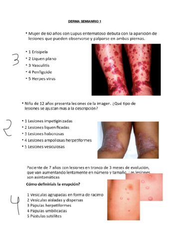 DERMA-SEMINARIO-1.pdf