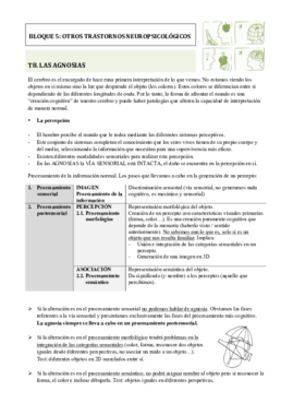 BLOQUE V. AGNOSIAS.pdf