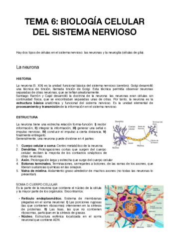 TEMA-6-PSICOBIOLOGIA.pdf