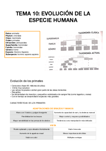 TEMA-10-PSICOBIOLOGIA.pdf
