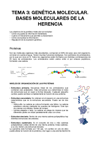 TEMA-3-PSICOBIOLOGIA.pdf