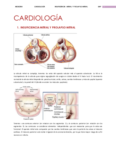 CARDIOLOGÍA 1.pdf