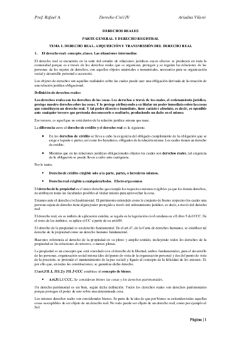 DoCIVIL-IV-MARTES.pdf