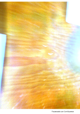 Fluidos-resueltoss.pdf