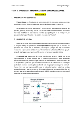 Tema3_AprendizajeyMemoria.pdf