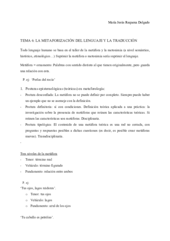 TEMA-6METAFORIZACION-DEL-LENGUAJE.pdf