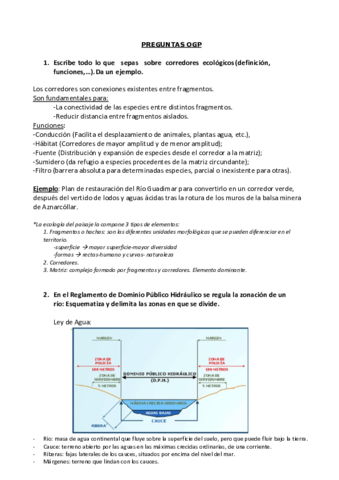 TODAS-LAS-PREGUNTAS-1-19.pdf