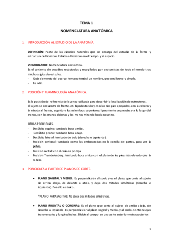 ANATOMIA-apuntes-todo.pdf