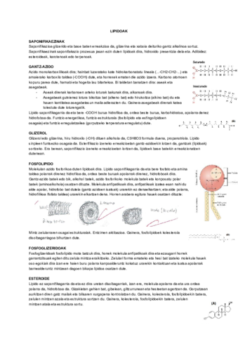 LIPIDOAK-3.pdf
