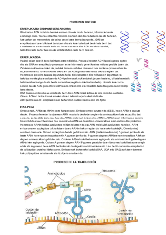 PROTEINEN-SINTESIA-2.pdf