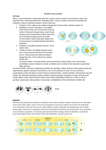 ZATIKETA-ZELULARRA-2.pdf