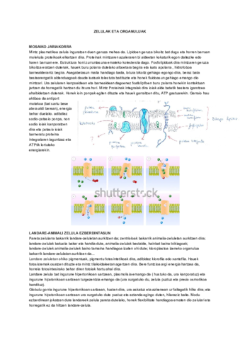 ZELULAK-ETA-ORGANULUAK-2.pdf