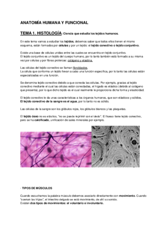 ANATOMIA-HUMANA-.pdf