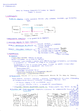 AI3_T10_Sistema Hidrónico (IV). Redes de Tuberías. Diseño y Cálculo. .pdf
