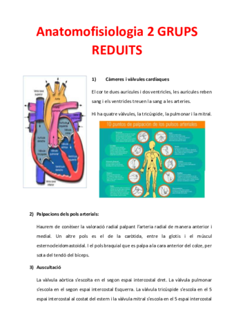 AnatomofisiologiaAPUNTSGRcatala.pdf