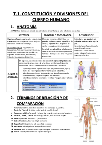 Tema-1-5.pdf