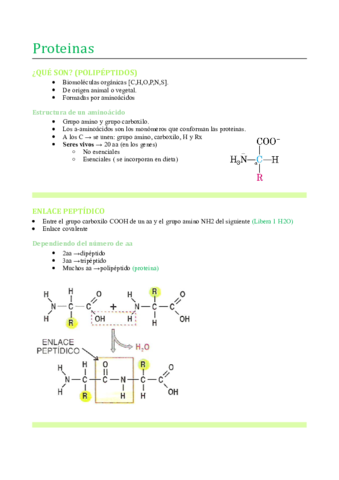 Proteinas.pdf