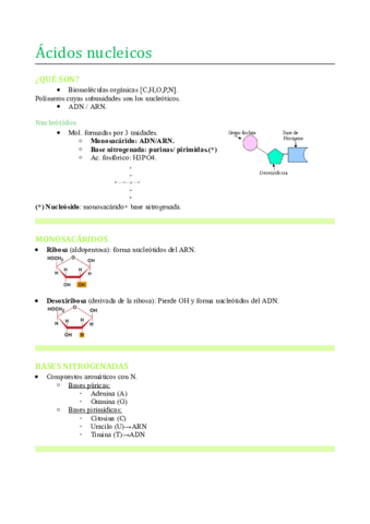 Acidos-nucleicos.pdf