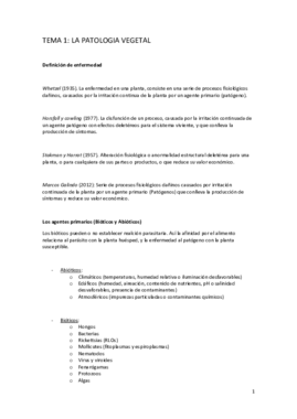 LIBRO ENFERMEDADES COMPLETO.pdf