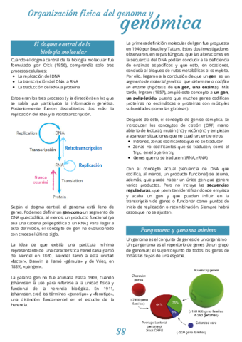 APUNTES-BMA-Tema-4-Organizacion-fisica-del-genoma-y-genomica.pdf