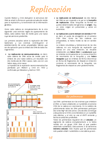 APUNTES-BMA-Tema-5-Replicacion.pdf