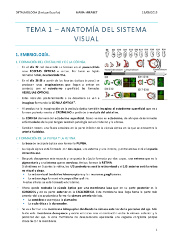 TEMA-1-anatomia-del-sistema-visual-1.pdf