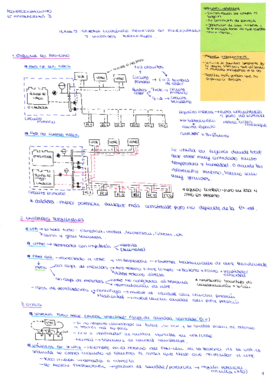 AI3_T5_Sistemas Hidrónicos.pdf