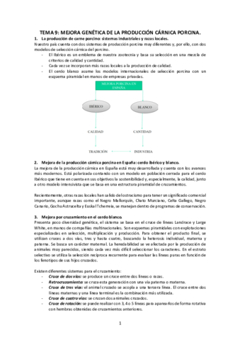 Tema-9-Mejora-genetica-de-la-produccion-carnica-porcina.pdf