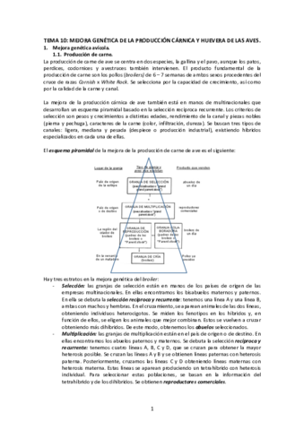 Tema-10-Mejora-genetica-de-la-produccion-carnica-y-huevera-de-las-aves.pdf