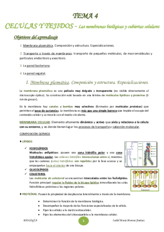 TEMA-4.pdf