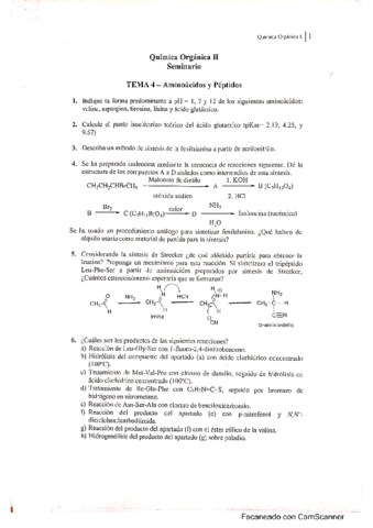 Seminario-4-Organica-II.pdf