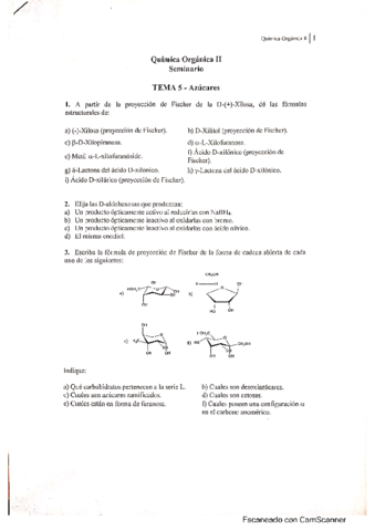 Seminario-Azucares-Resuelto-Organica-II.pdf