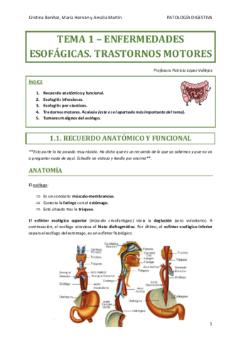 TEMA-1-DIGESTIVO.pdf