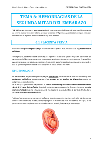 TEMA-6-OBSTETRICIA.pdf