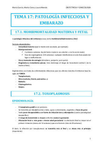 TEMA-17-OBSTETRICIA.pdf