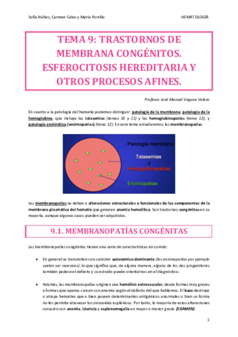 HEMATO-TEMA-9.pdf