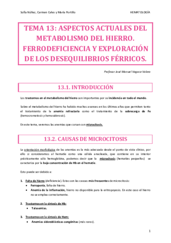 HEMATO-TEMA-13.pdf
