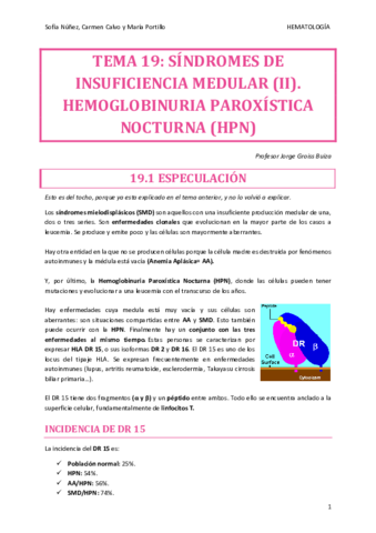 HEMATO-TEMA-19.pdf