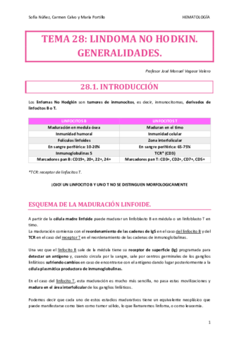 HEMATO-TEMA-28.pdf