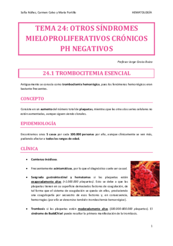 HEMATO-TEMA-24.pdf