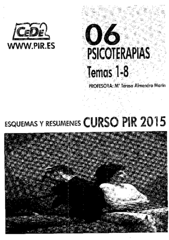 06-PSICOTERAPIAS-TEMAS-1-8.pdf