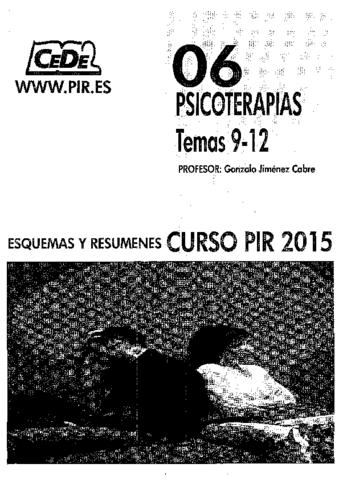06-PSICOTERAPIAS-TEMAS-9-12.pdf