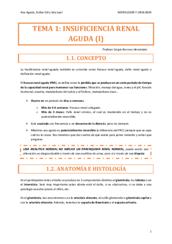 NEFRO-TEMA-1.pdf