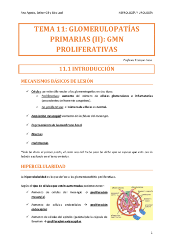 NEFRO-TEMA-11.pdf