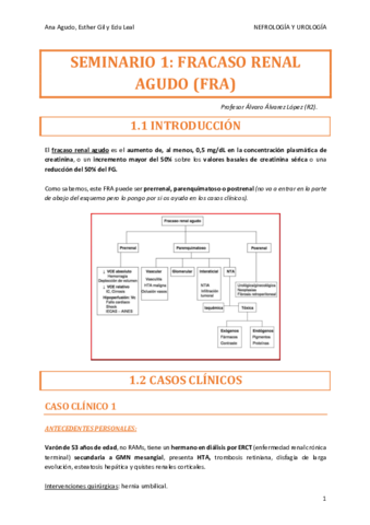 NEFRO-SEMINARIO-1.pdf