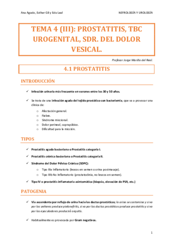 URO-TEMA-4.pdf
