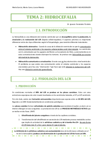 NEUROCIRUGIA-TEMA-2.pdf