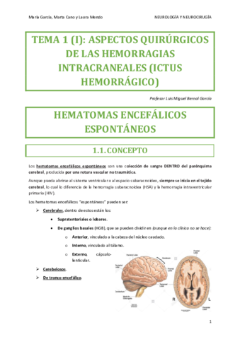 NEUROCIRUGIA-TEMA-1-I.pdf