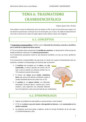 NEUROCIRUGIA-TEMA-6.pdf