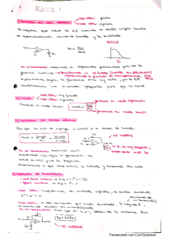 Practica1.pdf